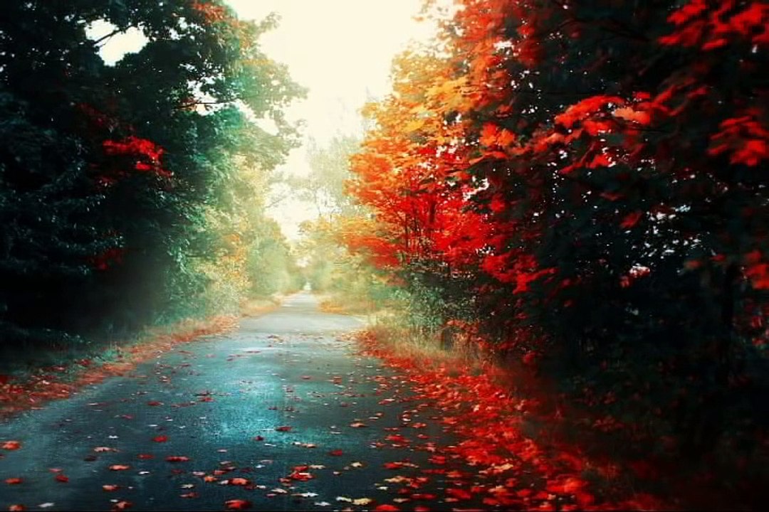 allah ham se kia chahta hai by mulana tariq jameel