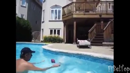 Собаки падают в воду подборка