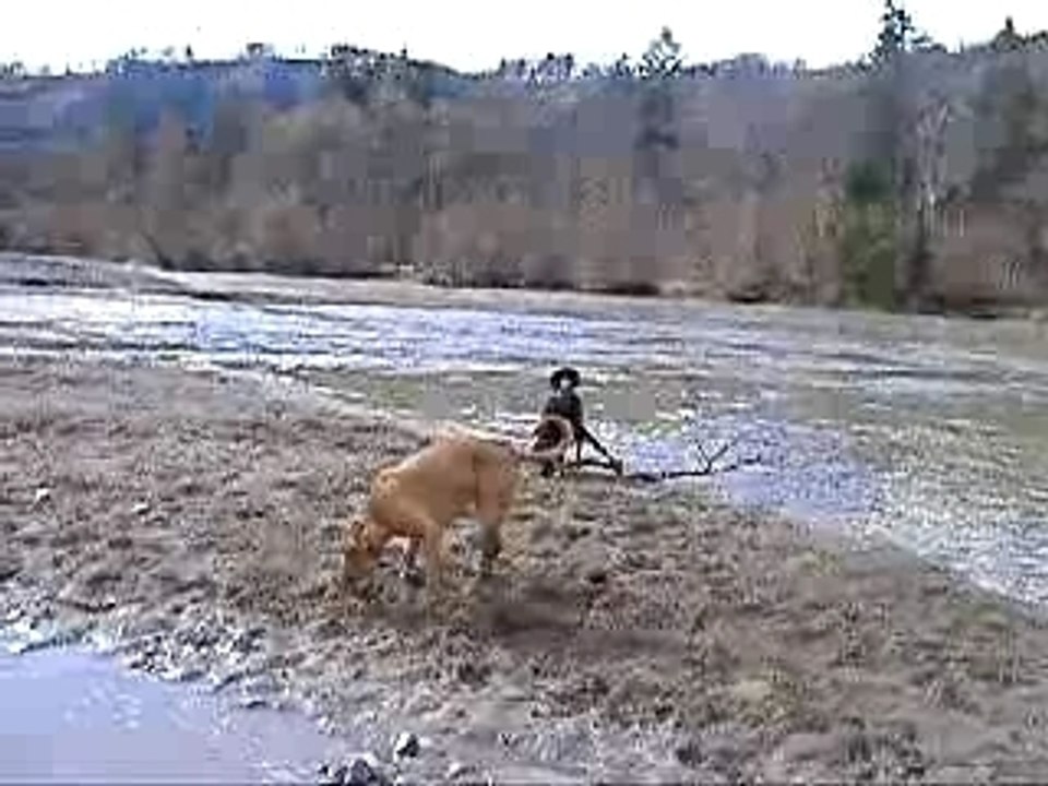 Jester Aare März 07 008