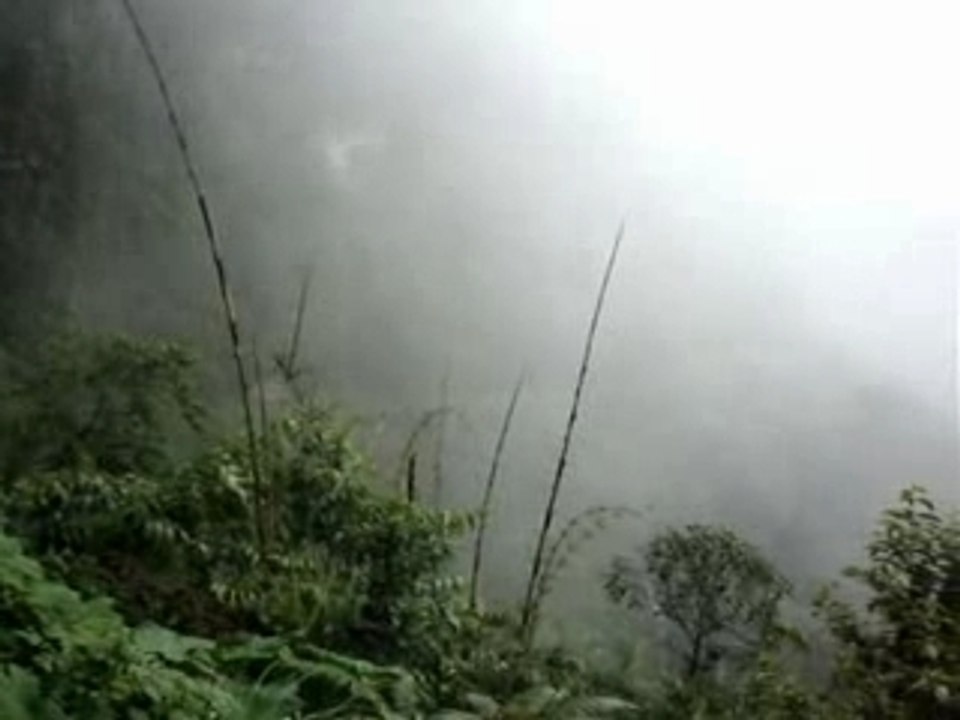 Altiperche