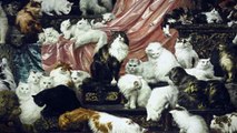 La plus grande peinture de chats au monde vendue pour 800 000 euros