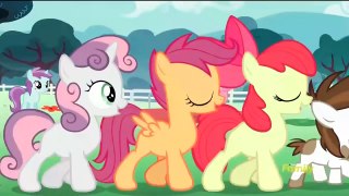 [Song] My Little Pony: FiM: The Vote