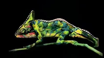 dont click this video only 20 plus prank