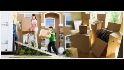 Packers and Movers noida