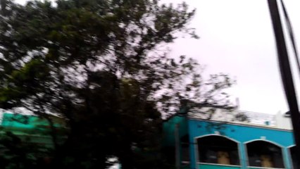 Heavy winds and rains at Chennai ( Nov 9 2015 )!