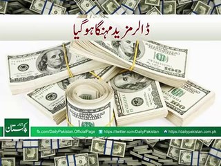 DOLLAR Value Has Increased !