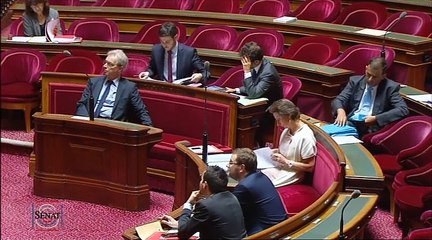 PPLO application des articles 34-1, 39 et 44 de la constitution 2