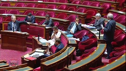 PPLO application des articles 34-1, 39 et 44 de la constitution 4