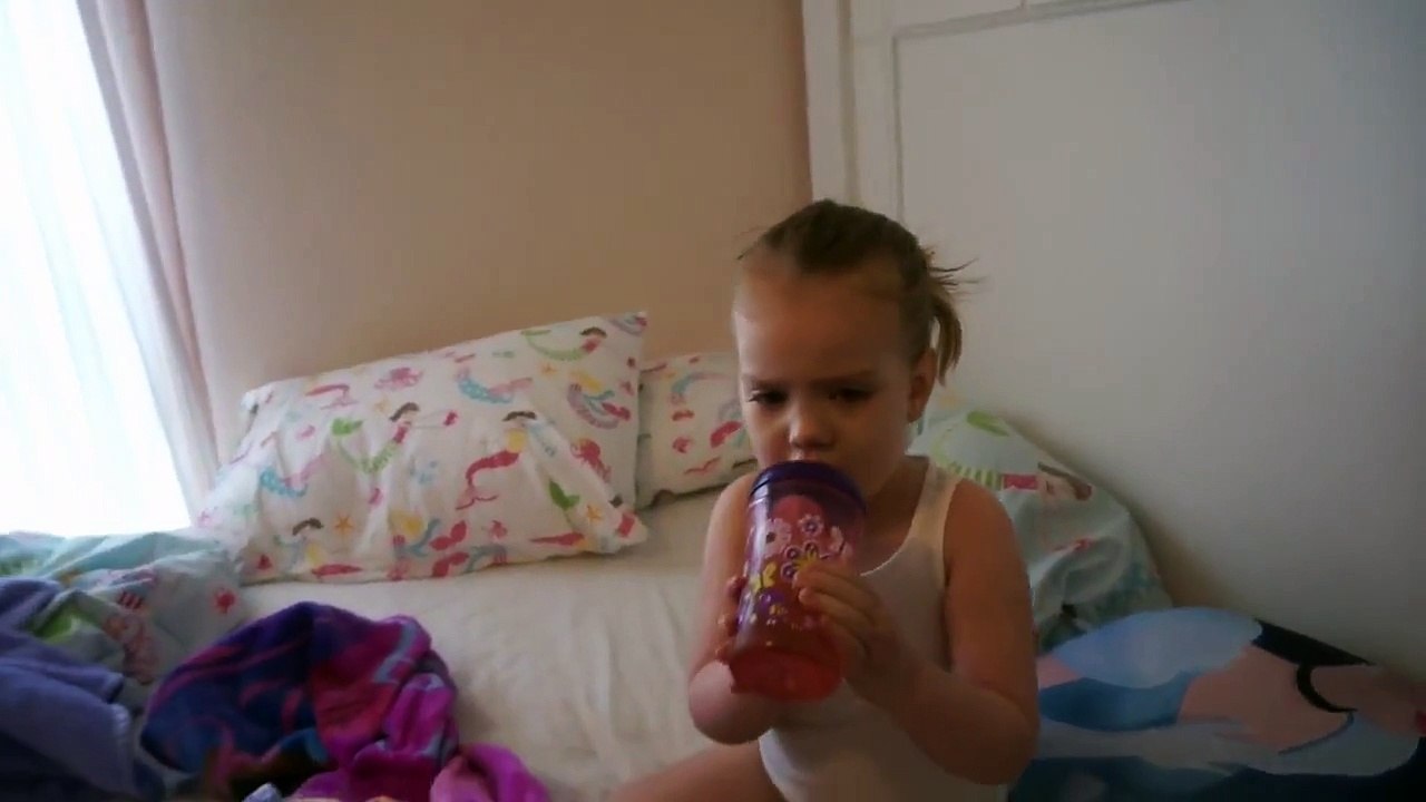 Wizdog potty training - Shih Tzu puppy