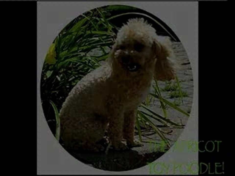 MayProject