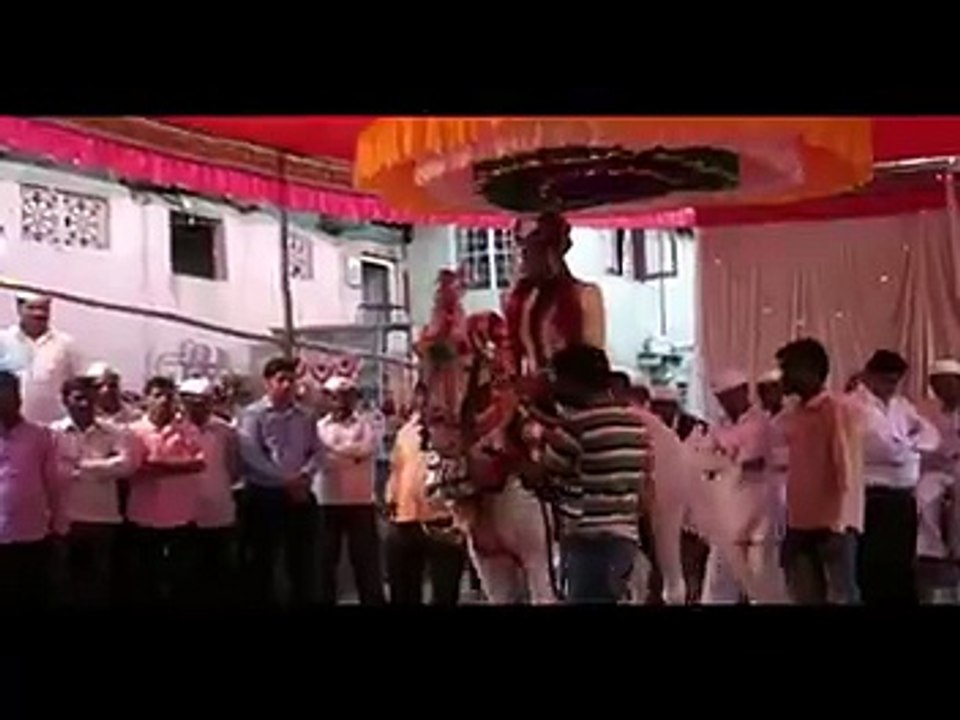 horse dance funny accident barat