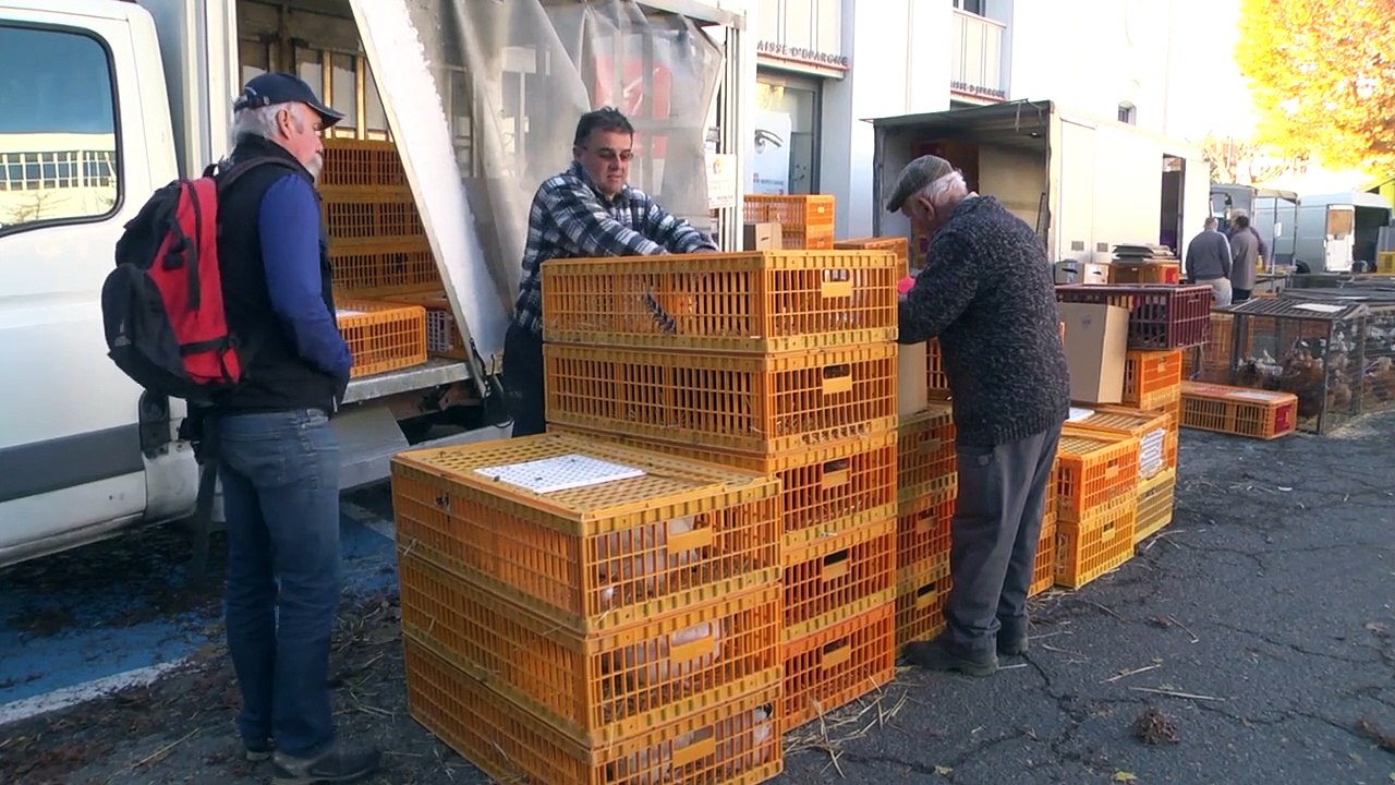 D!CI TV : La foire d'automne de Gap, une foire d'origine agricole