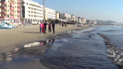 Report TV - Prokuroria i bashkohet hetimeve për ndotjen e bregdetit të Durrësit