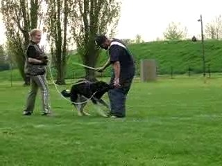 Boomer à l'entrainement 009