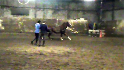 20151108 Cardhu debourrage