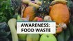 Raising awareness: Feeding bellies not bins