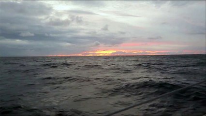 Jour 14 - Newrest / Matmut (Imoca)-Transat Jacques Vabre 2015