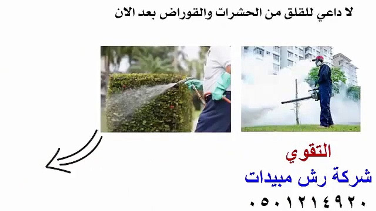 شركة رش مبيدات 0501214920