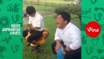 Best Japanese Vines of May 2015  Part 01 Vine Compilation