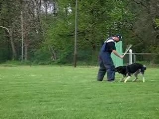 Boomer à l'entrainement 010