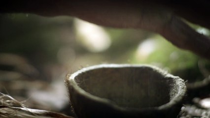 Nouvelle-Calédonie, des hommes racines