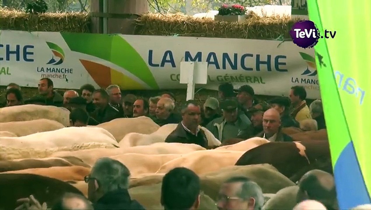 Festival de la Viande : manger du boeuf de qualité et Normand !