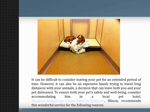 Pet Hotels Benefits: Elmhurst Animal Care Center