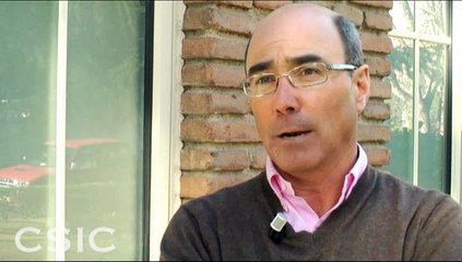 El Proyecto Djehuty presenta los resultados de la XII campaña