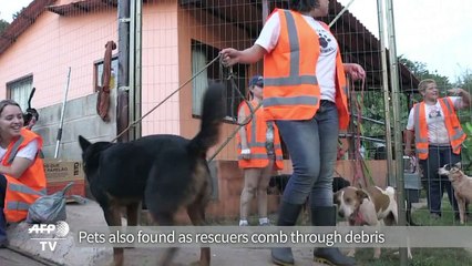 Hopes fade for missing in Brazil toxic mudslide