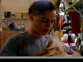 Fais-moi peur ! saison 3 - Une fille de rêve (partie 2) - vidéo dailymotion