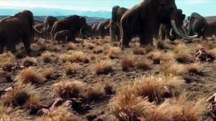 10000 BC