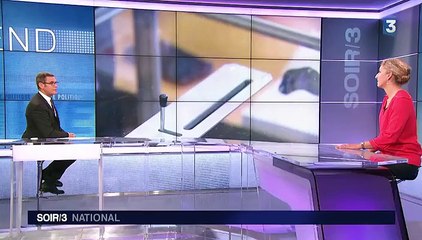 Régionales : "Notre premier adversaire, c'est l'abstention", déclare Delphine Batho