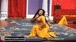 SHABAB AA GAYA - PAKISTANI MUJRA DANCE