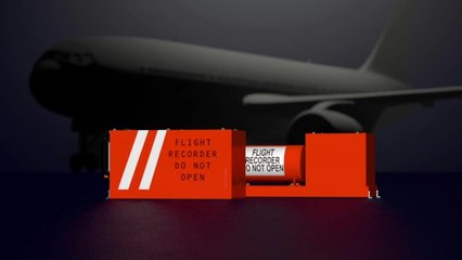 Crash en Egypte: Charm el-Cheikh se vide de ses touristes, un chef de l'EI tué