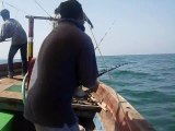 Salt water fishing: Grouper on trolling