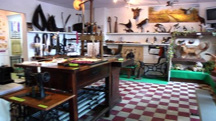 C'EST PAS MAL CHEZ VOUS - CHAMP SUR DRAC