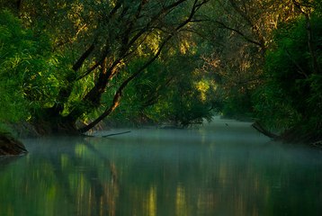 Wild Danube Delta,Romania