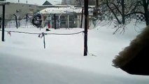 モフモフの猫がモフモフの雪の中を歩きます
