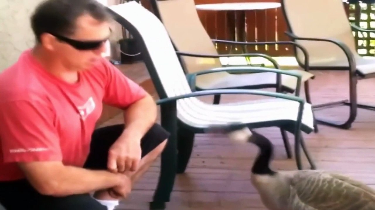 FAIL Compilation 2015 Best Funny Videos 22