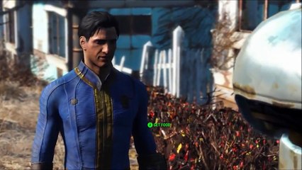 Fallout 4 Steam Serial Number