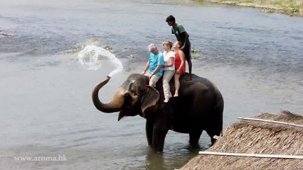 Nepal Royal Chitwan National Park 尼泊爾哲雲/奇旺國家公園大象洗澡