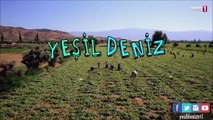 Yeşil deniz duygusal müzik 2