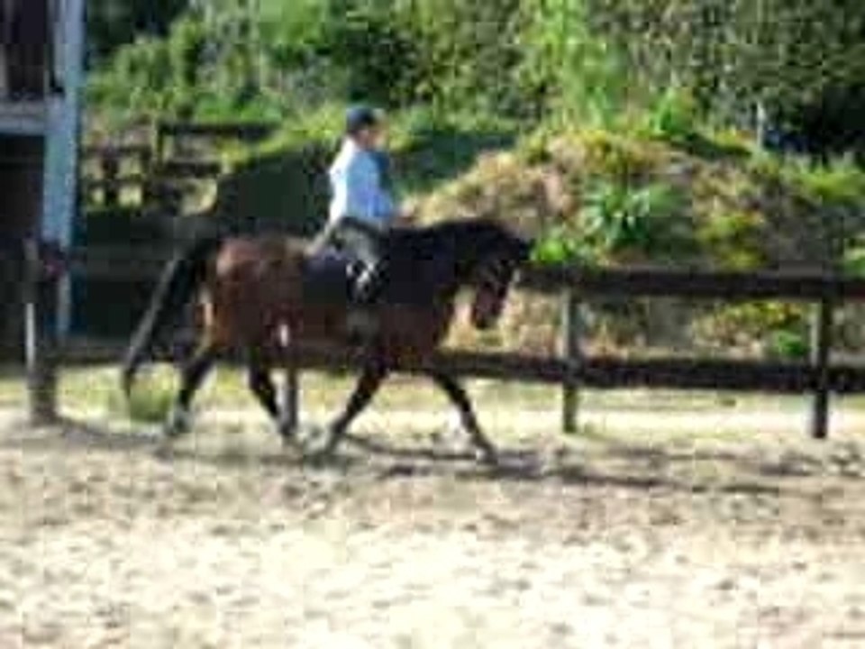 Virginie et mimiste^^