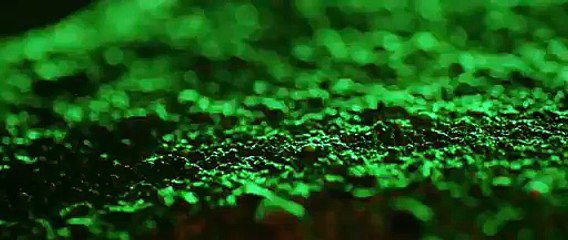 Dekh Magar Pyaar Say - Theatrical Trailer