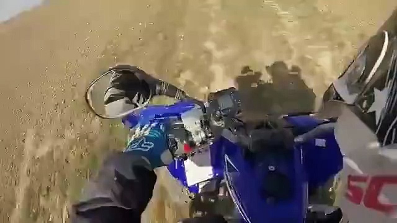 Deer deadly super attack on quad rider MUST WATCH