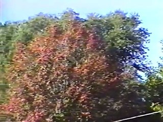 5 Dark Souls | Full Horror Film 2015 - Trailer