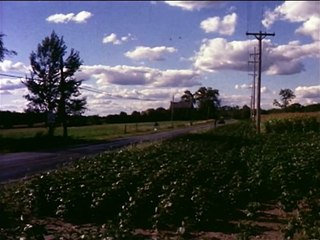 Dead Next Door | Full Horror Film 2015 - Trailer