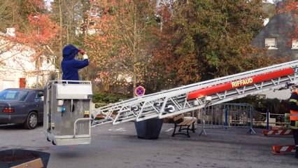 Quimperlé: enlèvement d'un nid de frelons