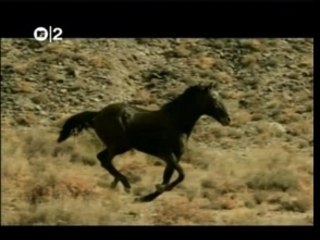 Athlete - Half Light