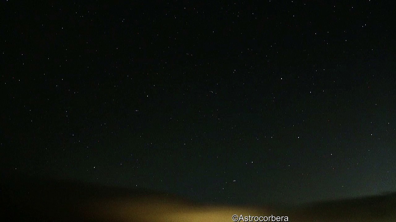 10 Leónidas  cazadas